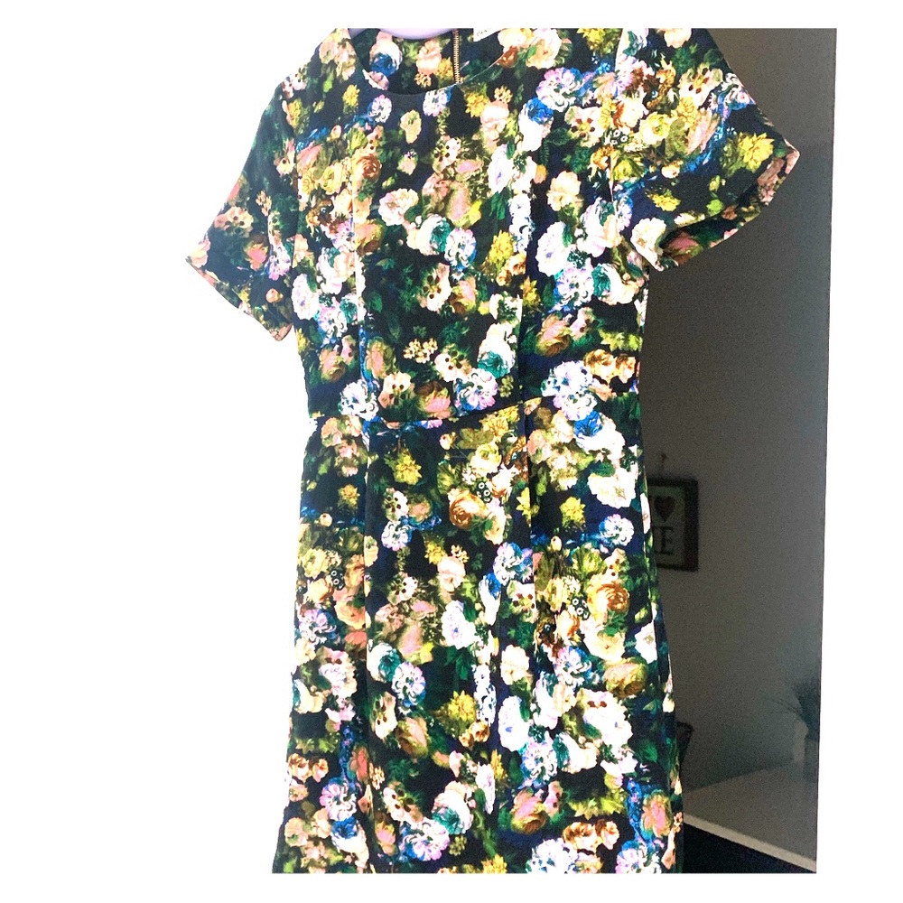 Dainty Hooligan Floral Dress